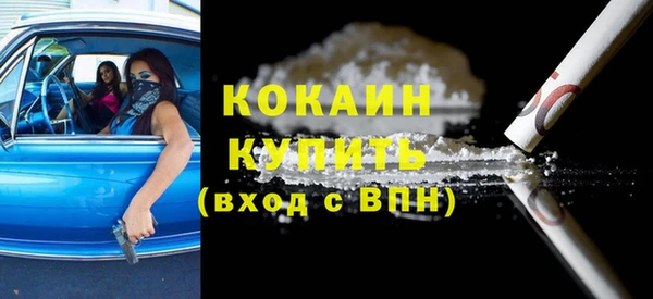 амф Верхний Тагил