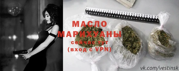 амф Верхний Тагил