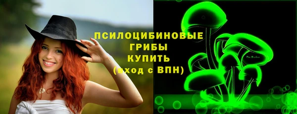 мдпв Верея