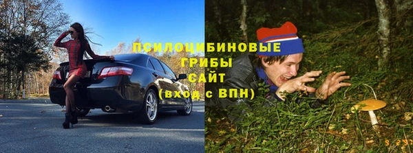 амф Верхний Тагил