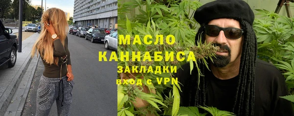 амф Верхний Тагил