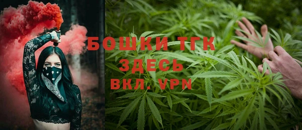 мдпв Верея