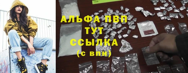 амф Верхний Тагил