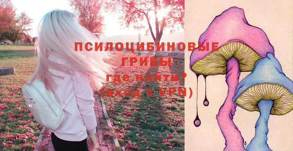 амф Верхний Тагил