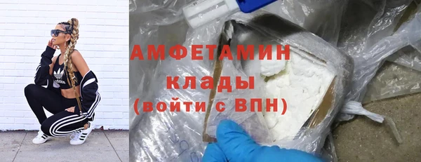 амф Верхний Тагил
