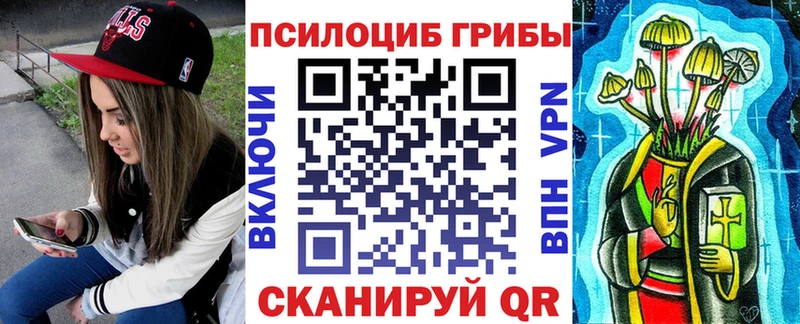 Купить закладки  Кола  Псилоцибиновые грибы ЛСД 